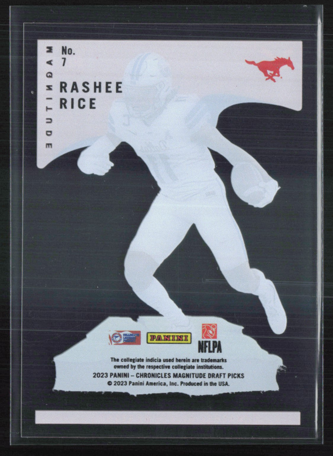 Rashee Rice Acetate RC