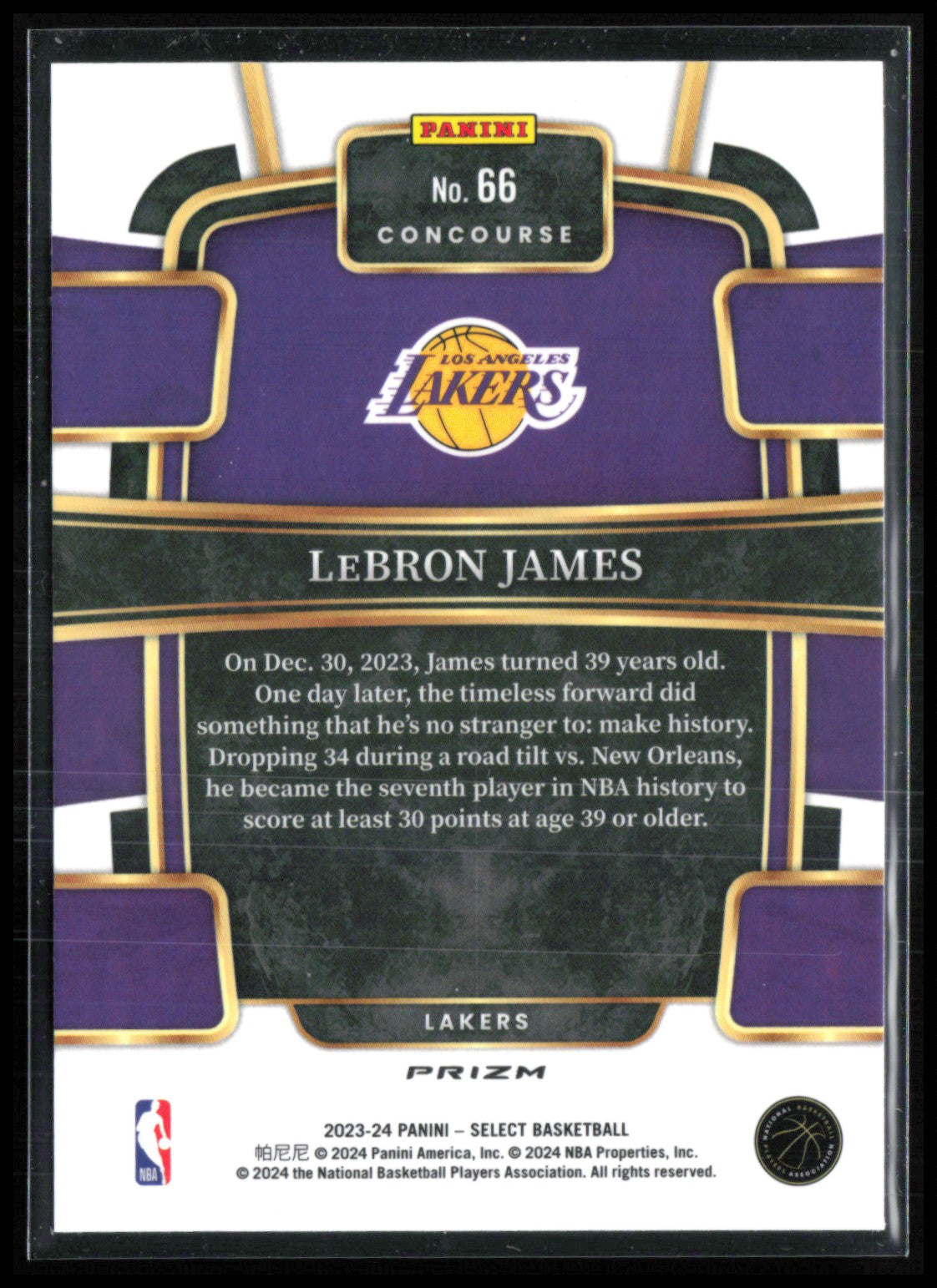 LeBron James Silver