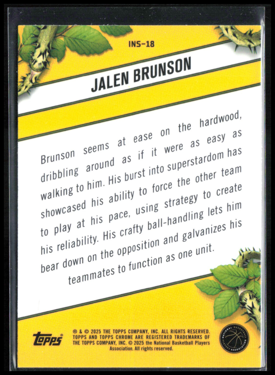 Jalen Brunson Instinct
