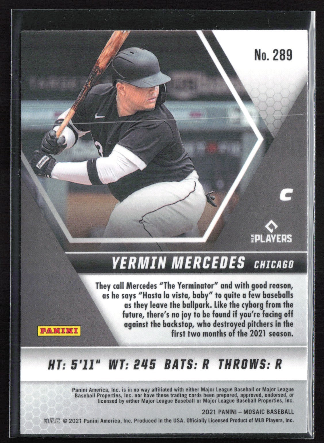Yermin Mercedes RC