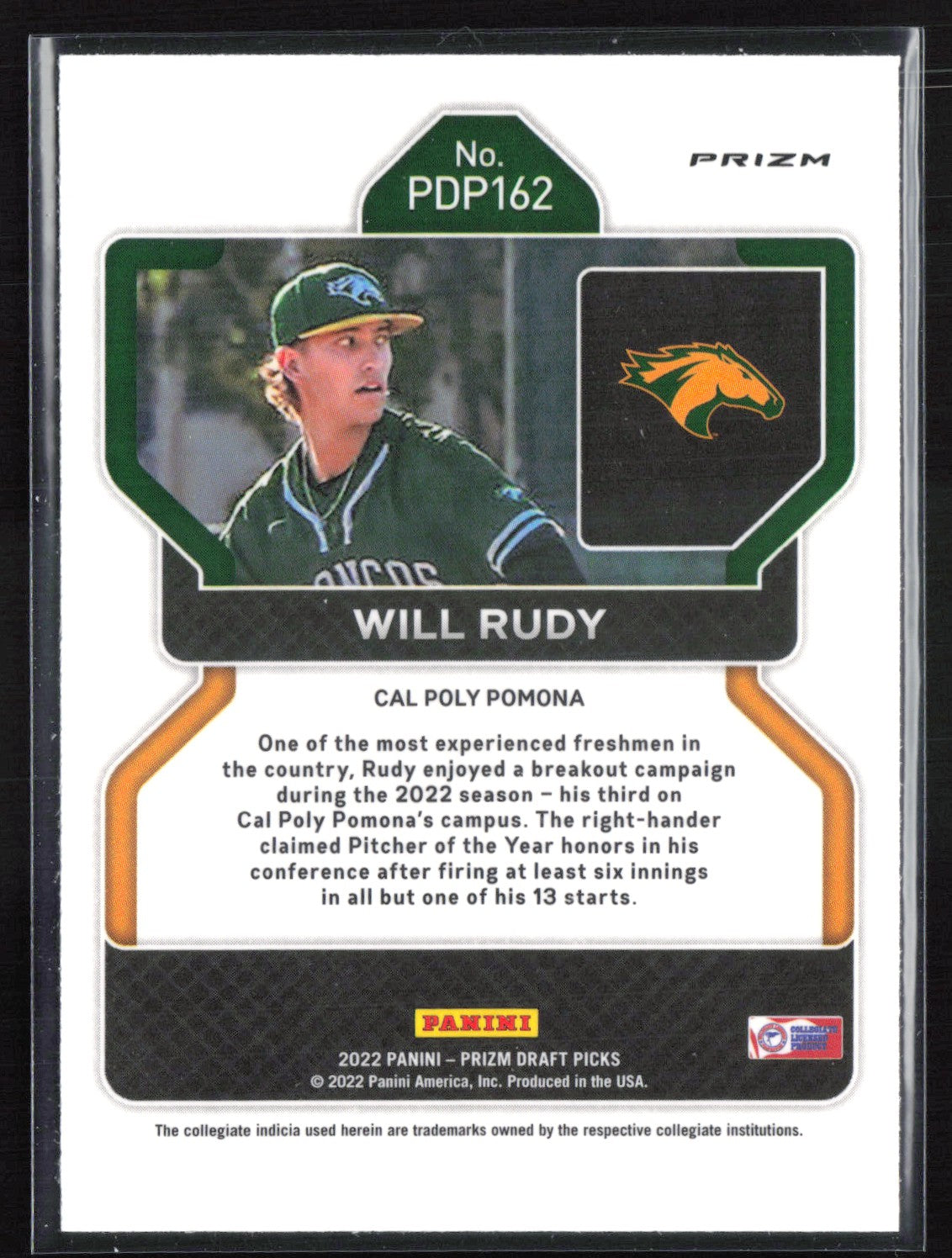Will Rudy Black