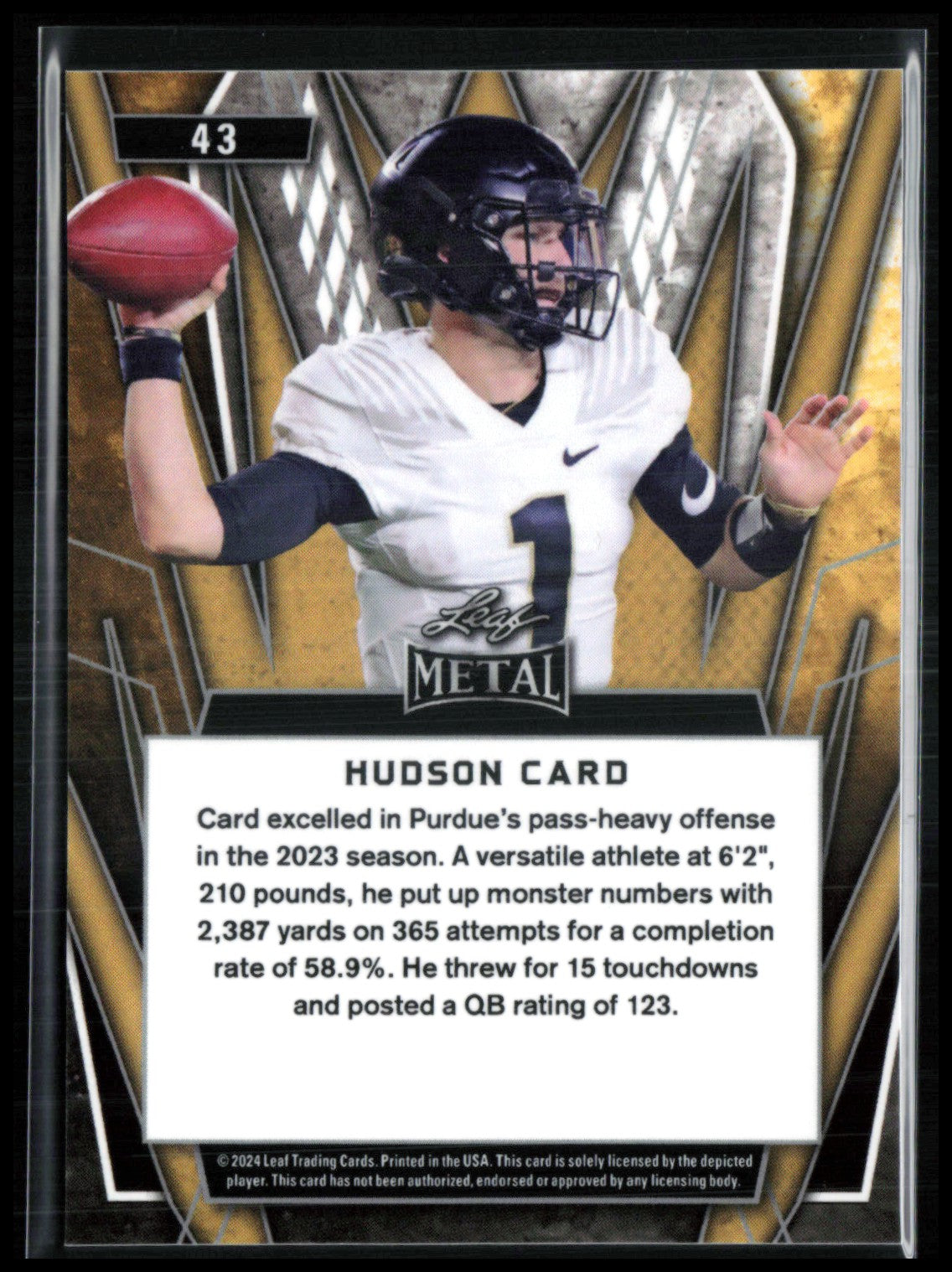 Hudson Card