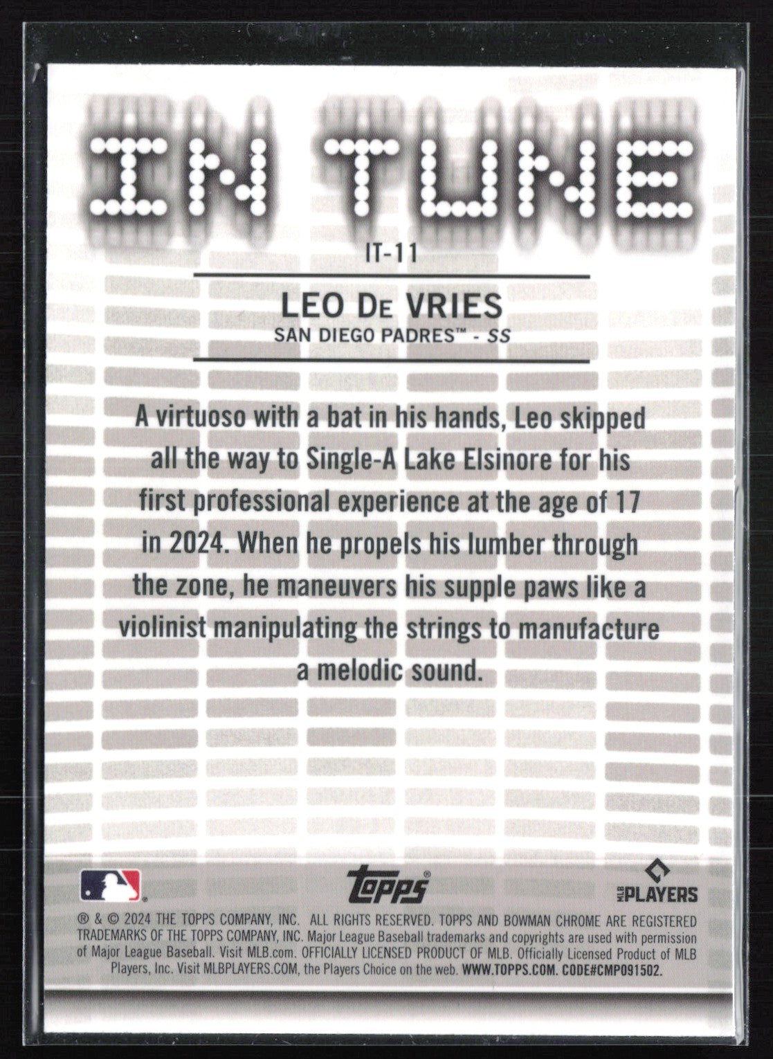Leo De Vries In Tune