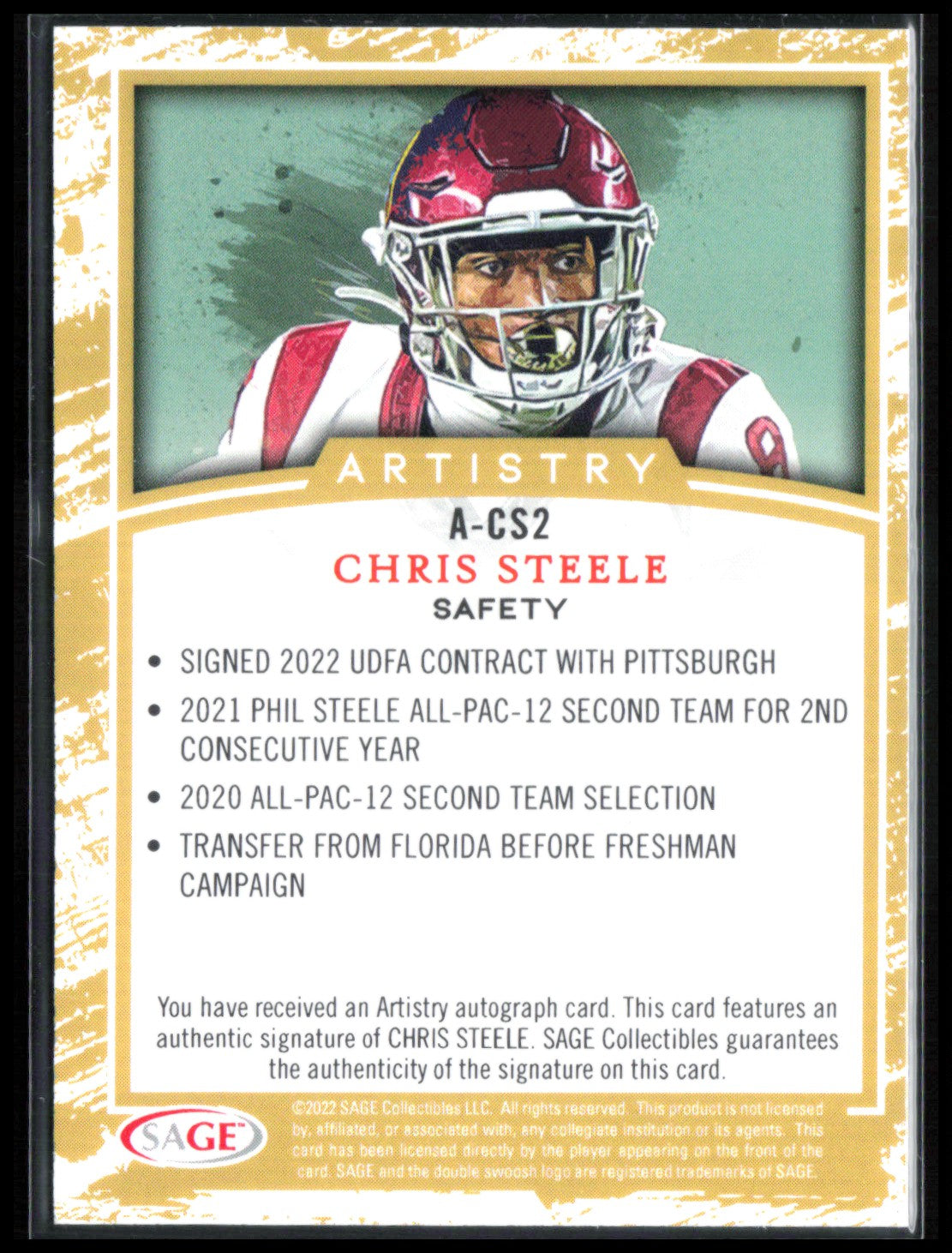 Chris Steele Auto Artistry