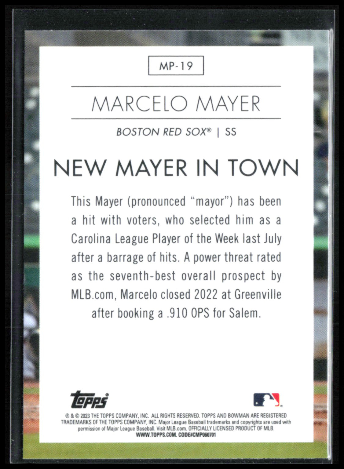 Marcelo Mayer