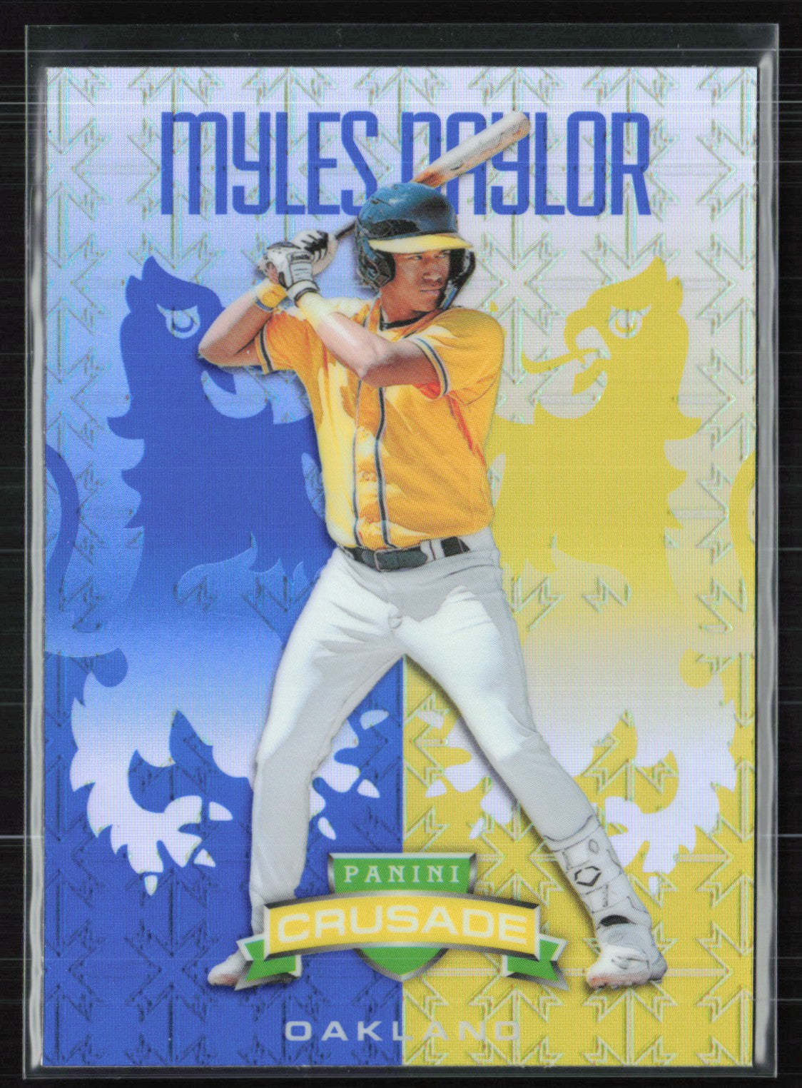 Myles Naylor Blue Yellow