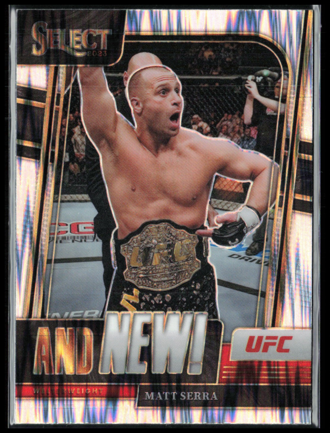 Matt Serra Flash
