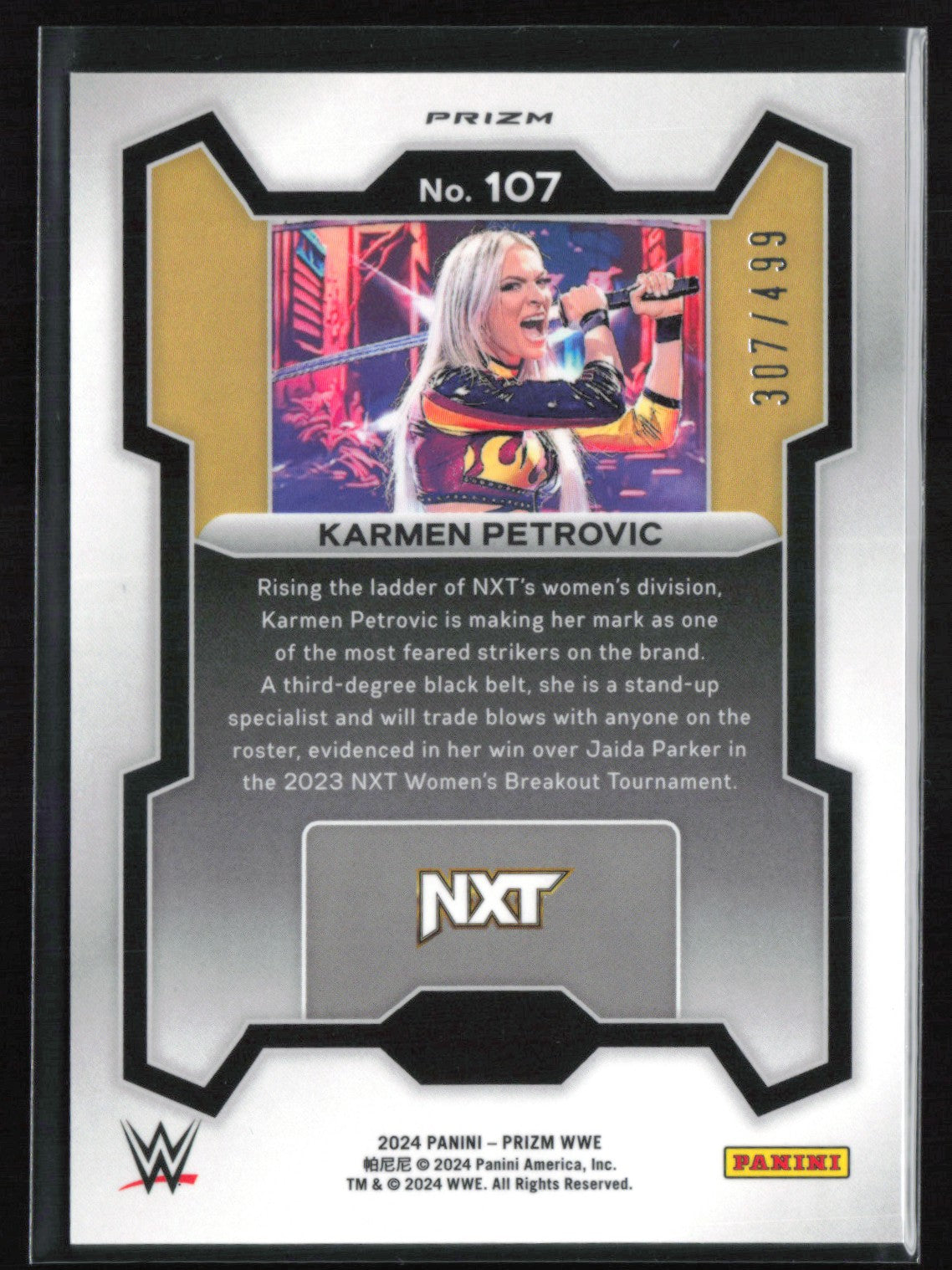 Karmen Petrovic Silver Pulsar /499