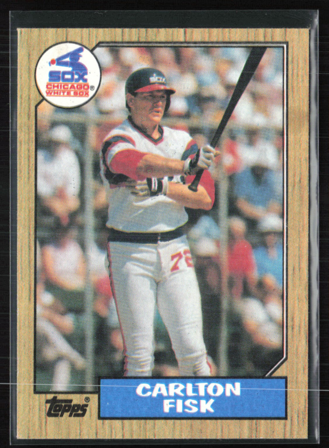 Carlton Fisk