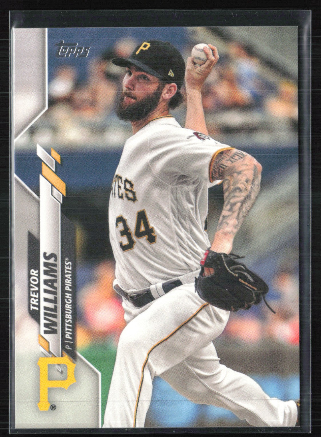 Trevor Williams /300