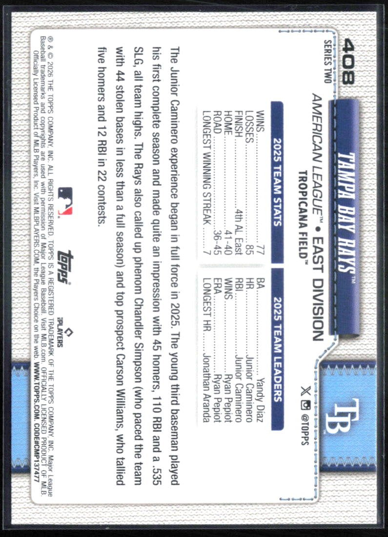 Tampa Bay Rays Foil