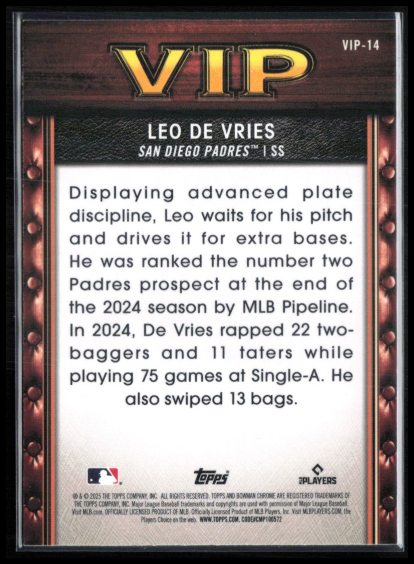 Leo De Vries VIP