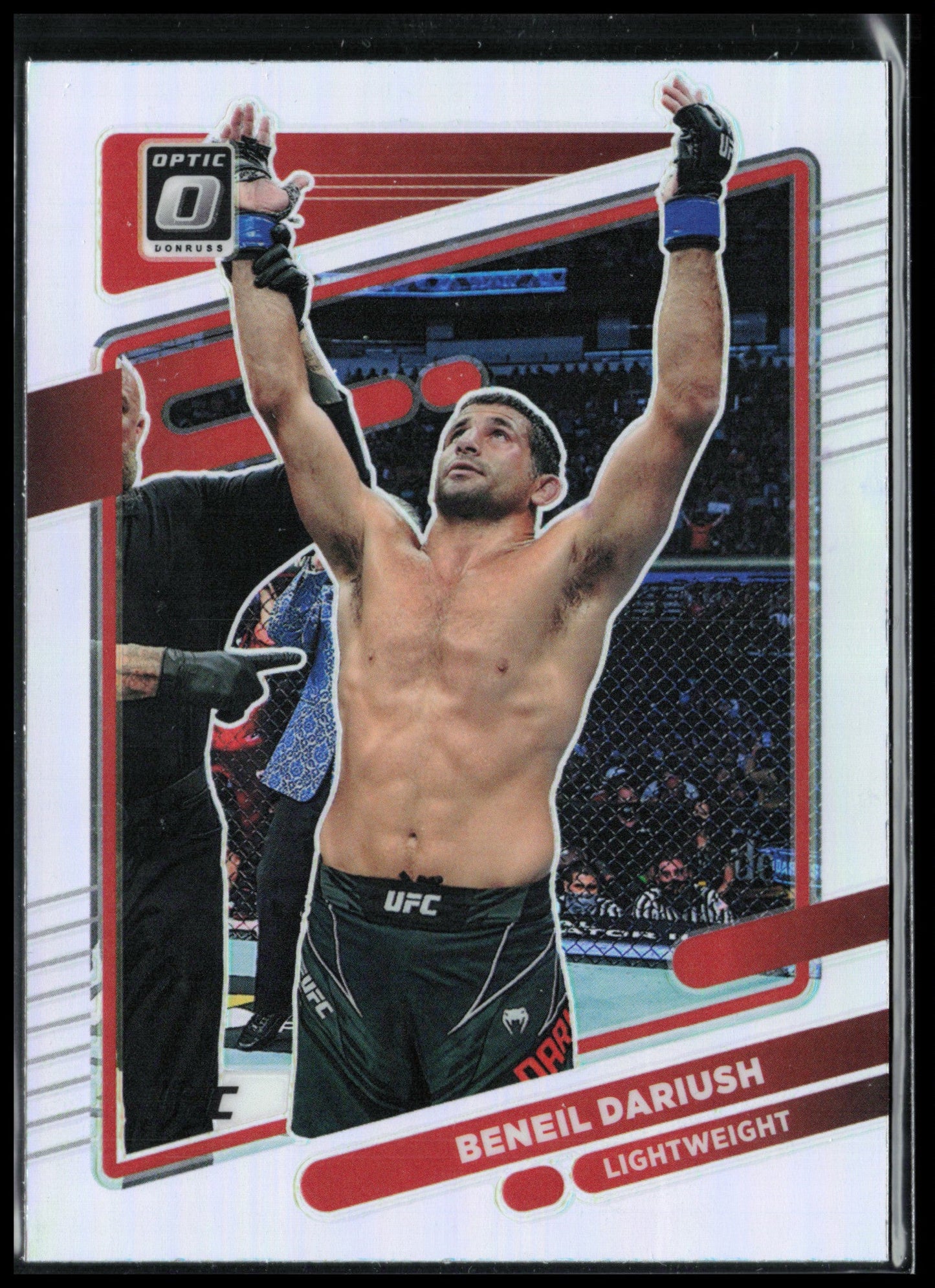Beneil Dariush Holo