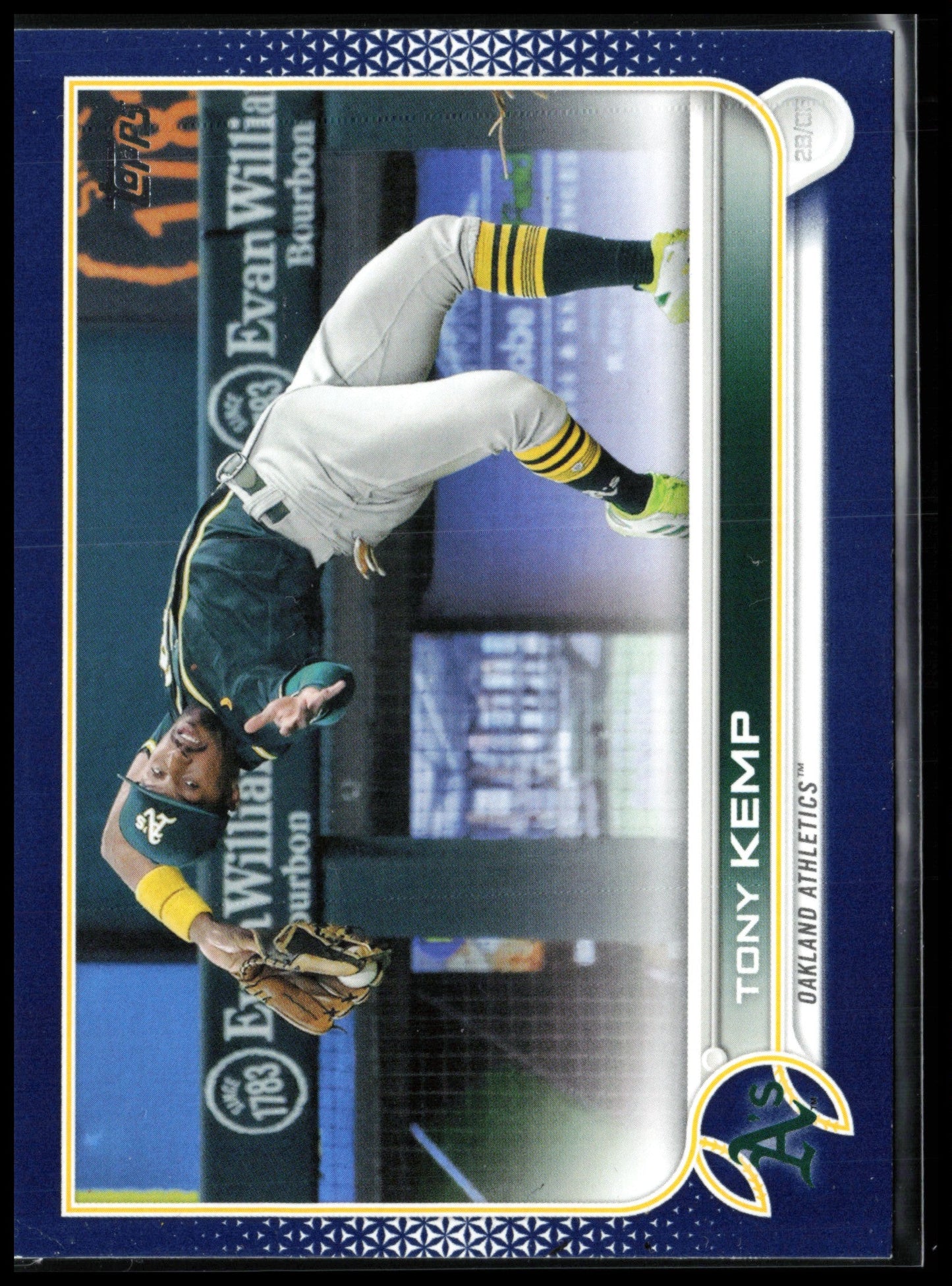 Tony Kemp Blue
