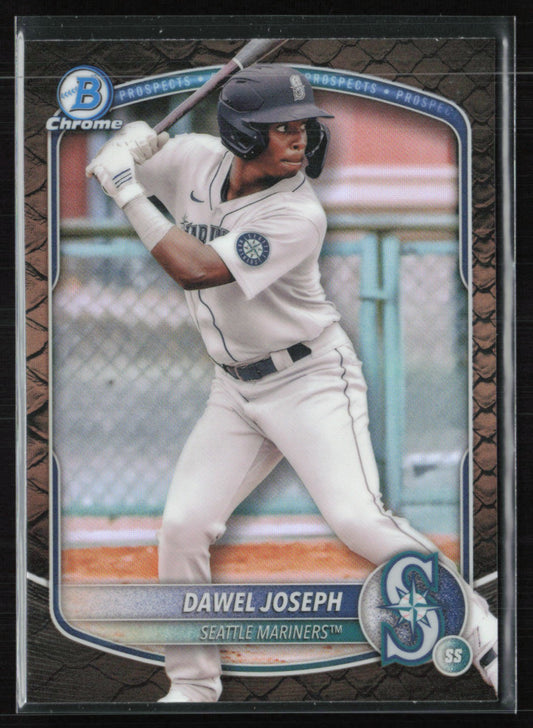 Dawel Joseph Reptilian