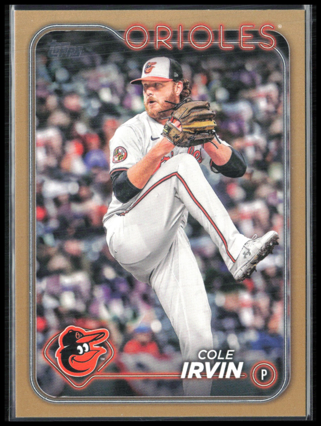 Cole Irvin Gold /2024