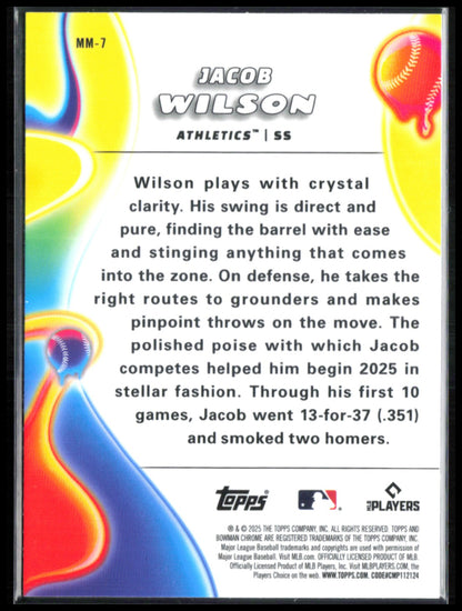 Jacob Wilson RC Melt Mashers