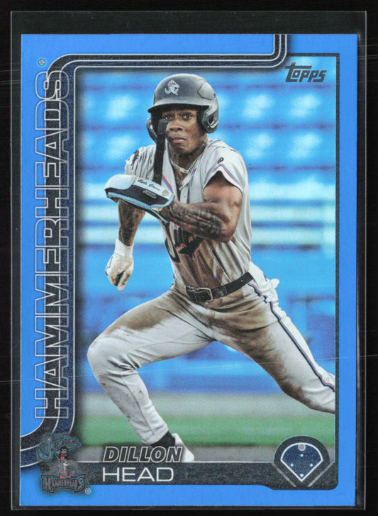 Dillon Head /150 Blue