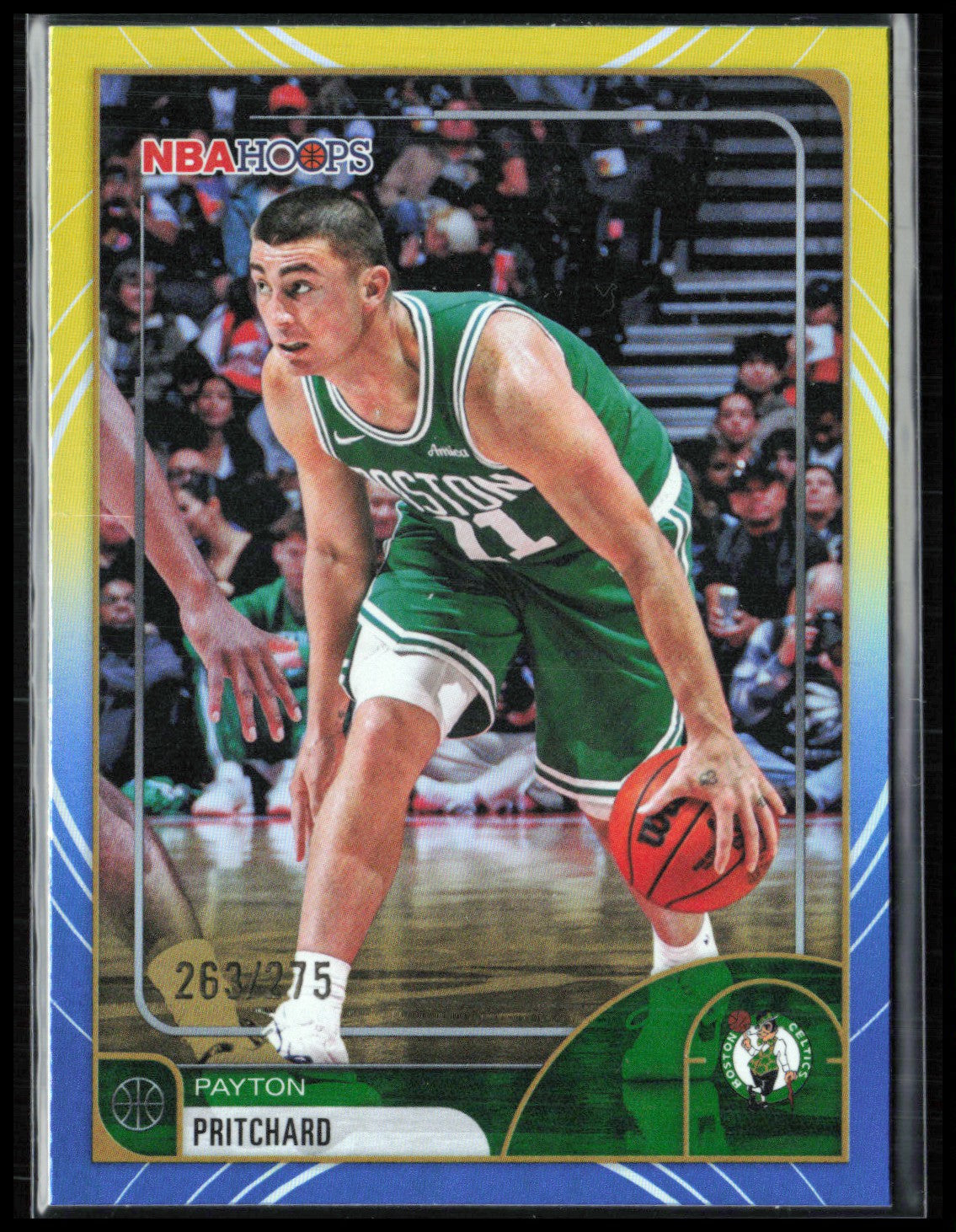Payton Pritchard Yellow Blue /275