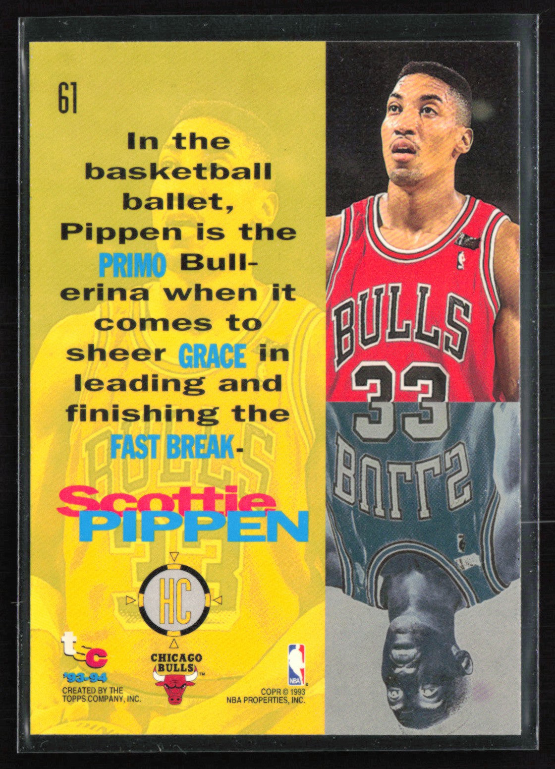 Scottie Pippen High Court