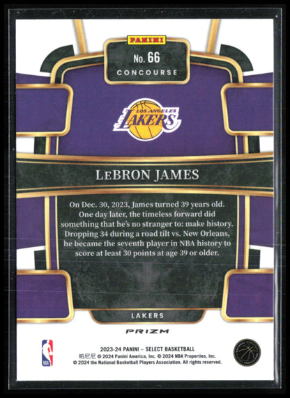 LeBron James Silver