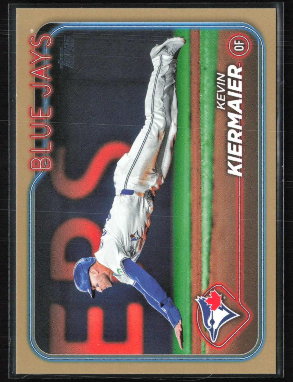 Kevin Kiermaier /2024