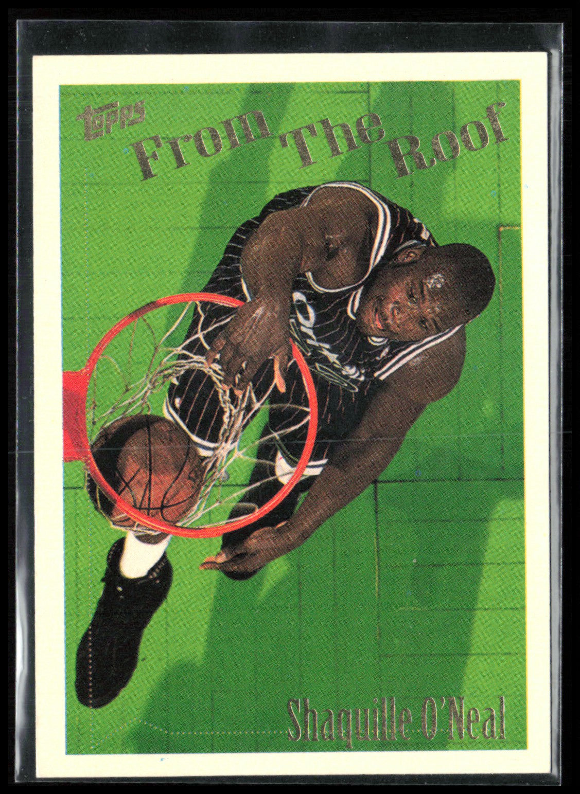 Shaquille O'Neal From the Roof