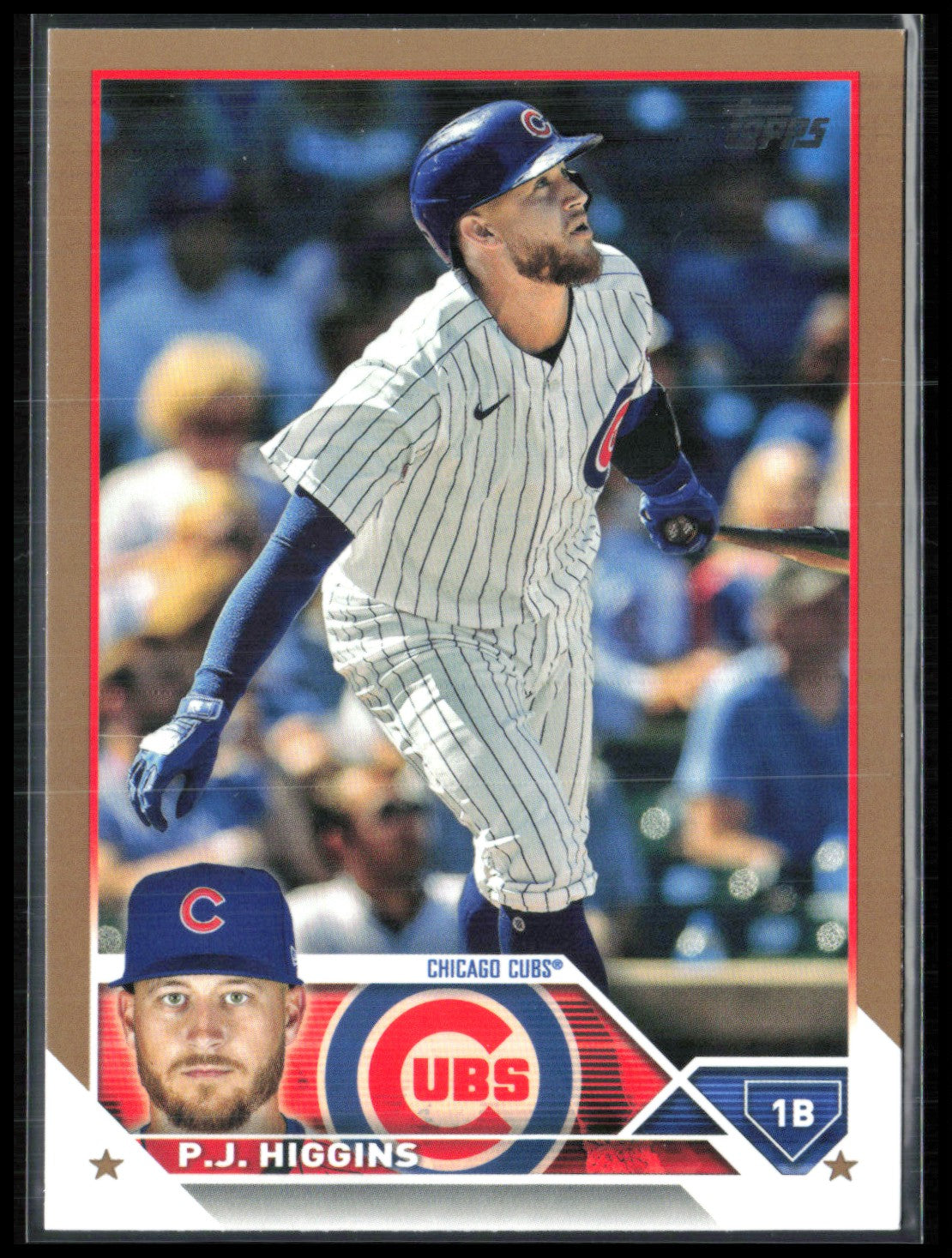 P.J. Higgins Gold /2023