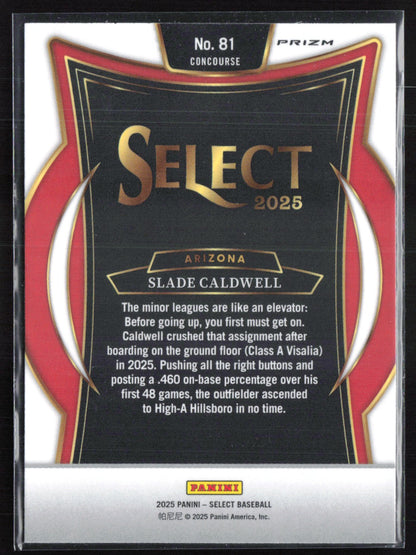 Slade Caldwell Silver Prospects