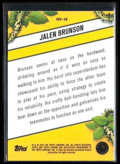 Jalen Brunson Instinct