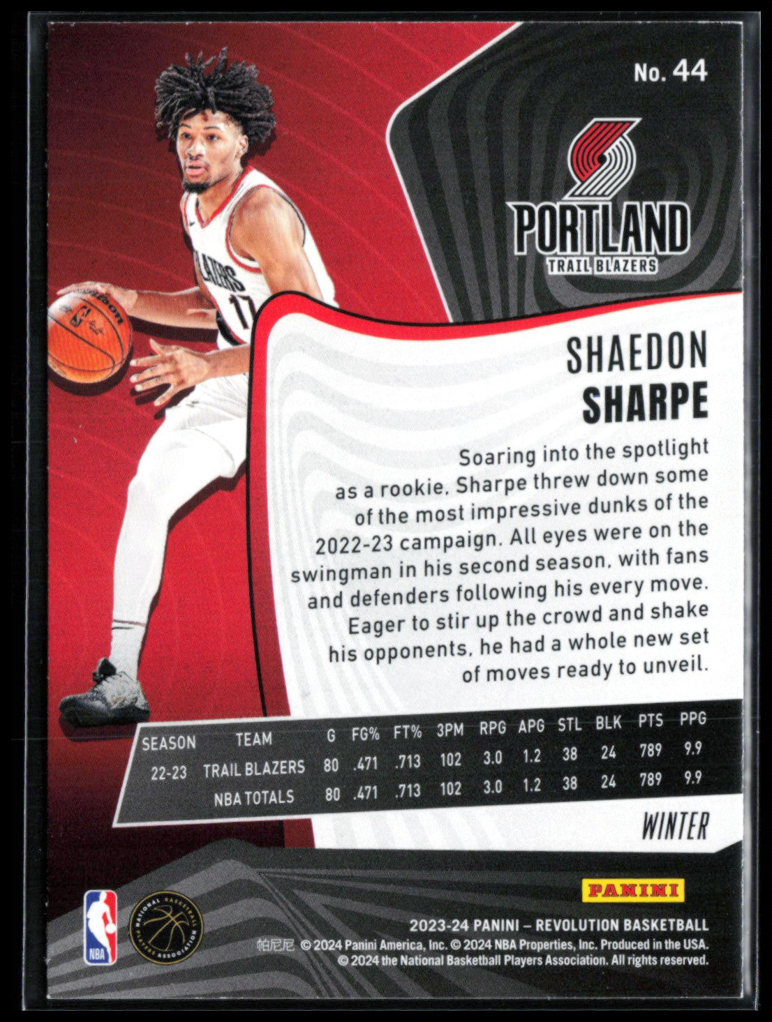 Shaedon Sharpe Winter