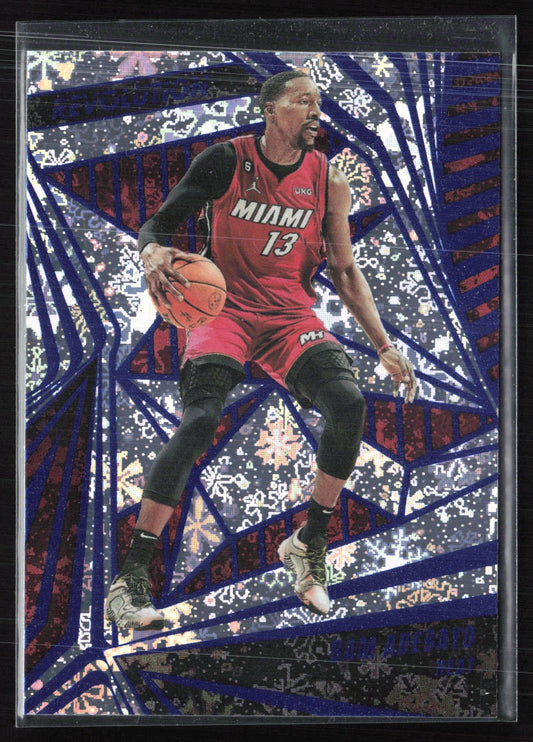 Bam Adebayo Winter