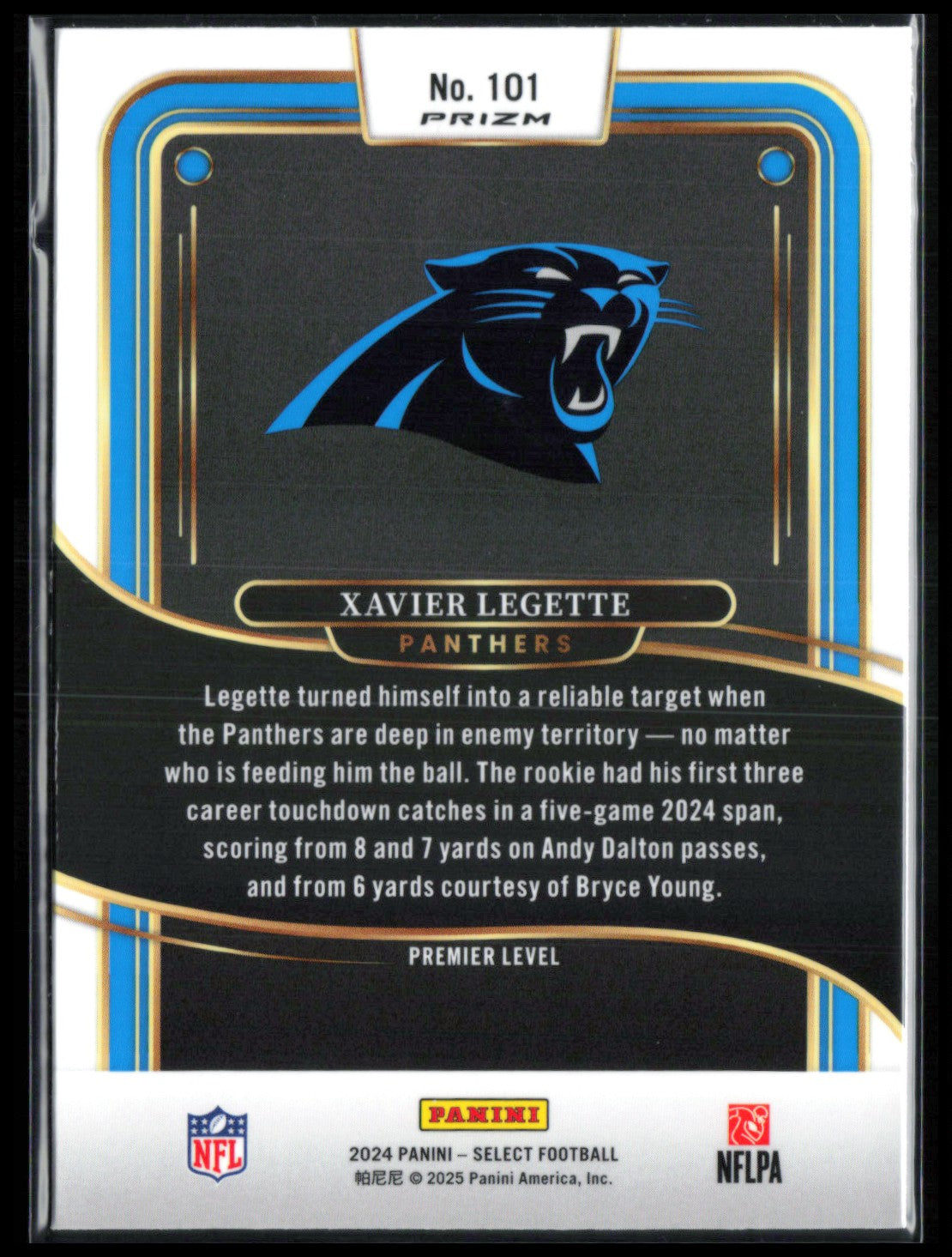 Xavier Legette RC Black Gold Shock