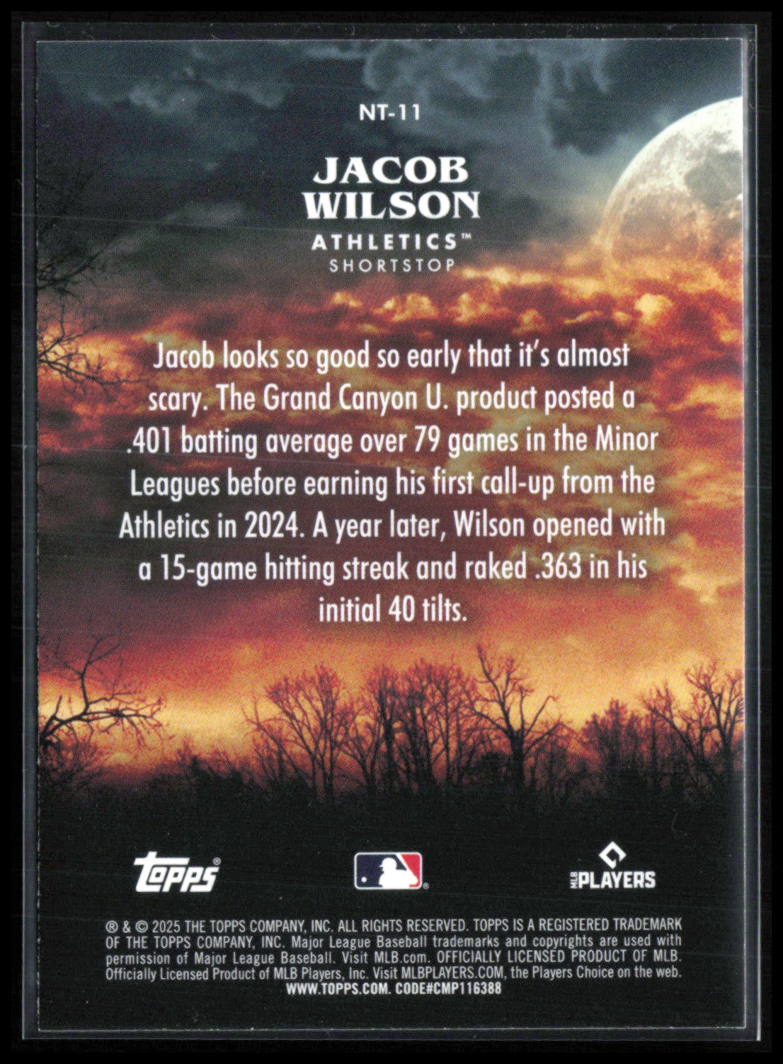 Jacob Wilson RC Night Terrors