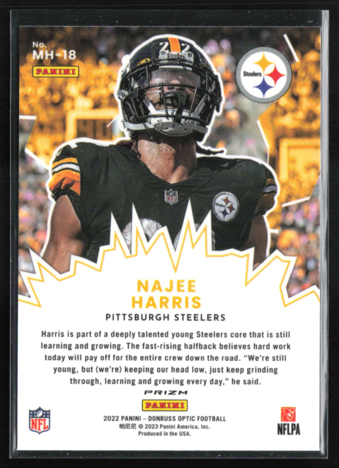 Najee Harris My House