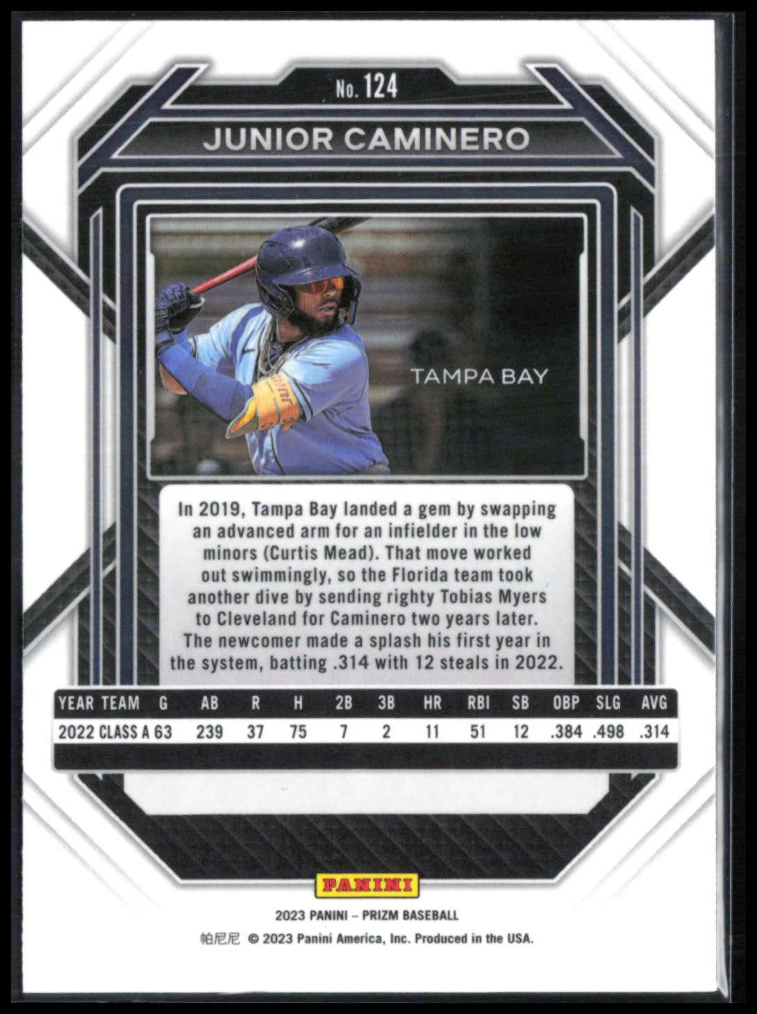 Junior Caminero Prospect