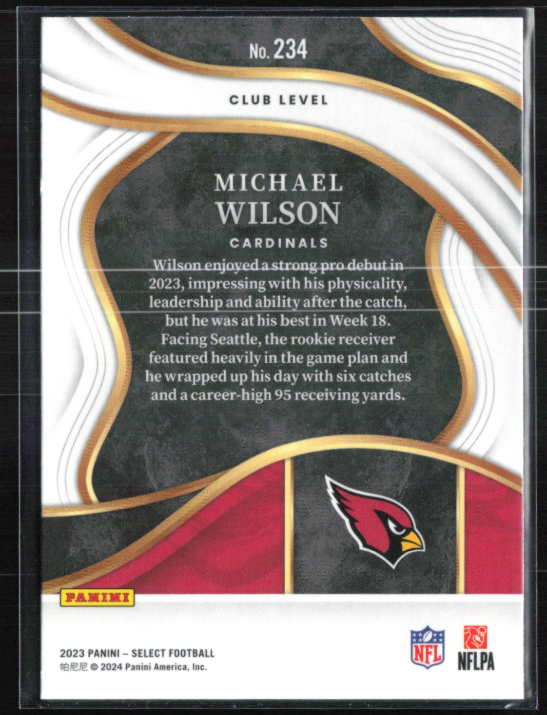 Michael Wilson RC Club Level