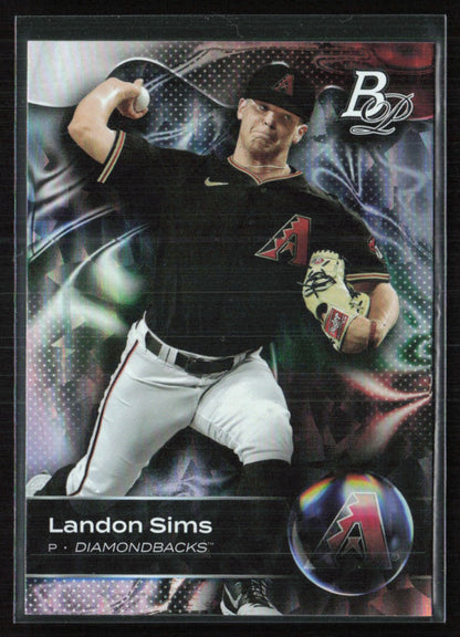 Landon Sims