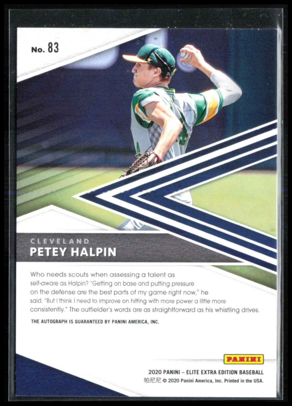 Petey Halpin Auto