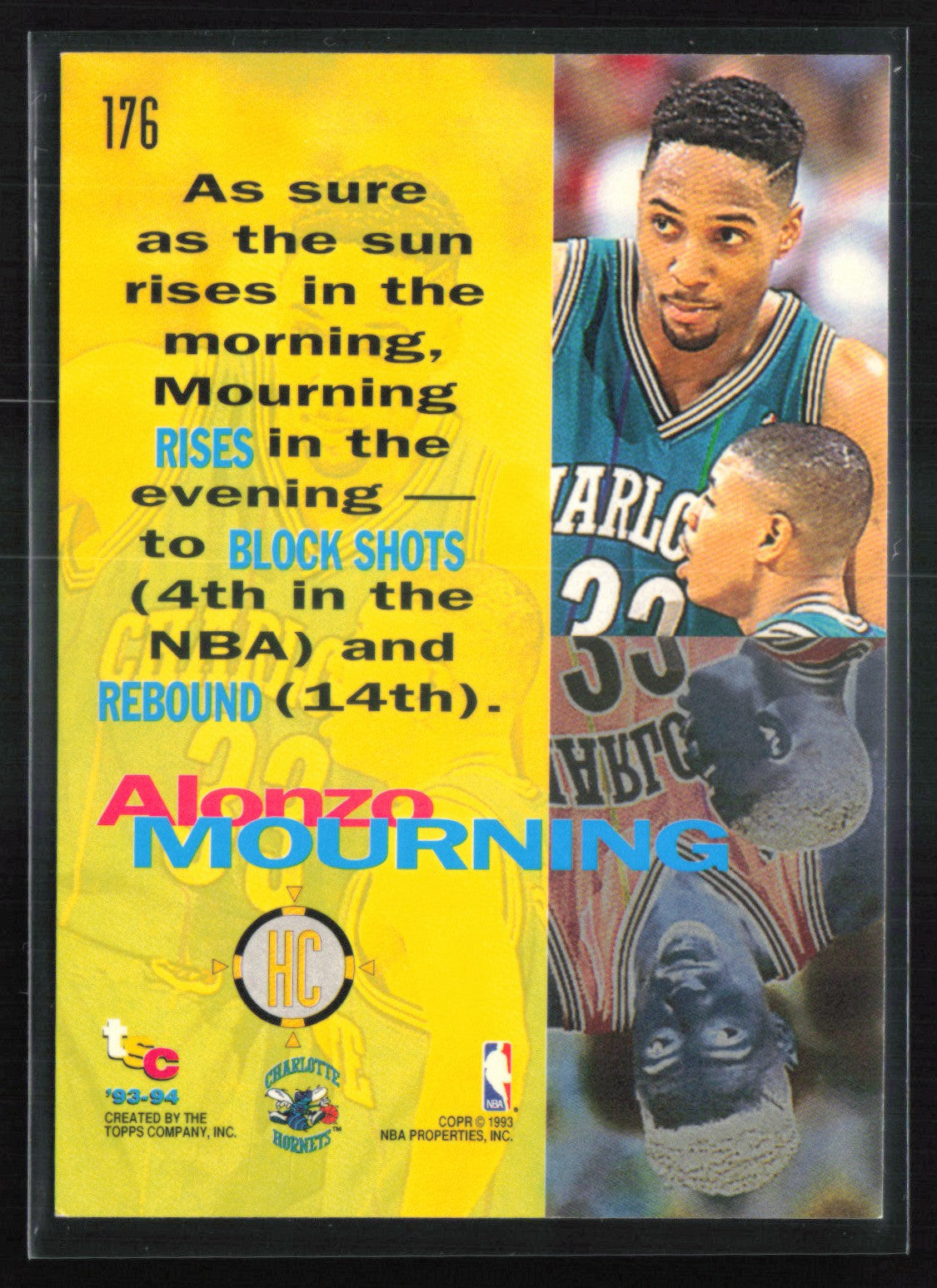 Alonzo Mourning High Court