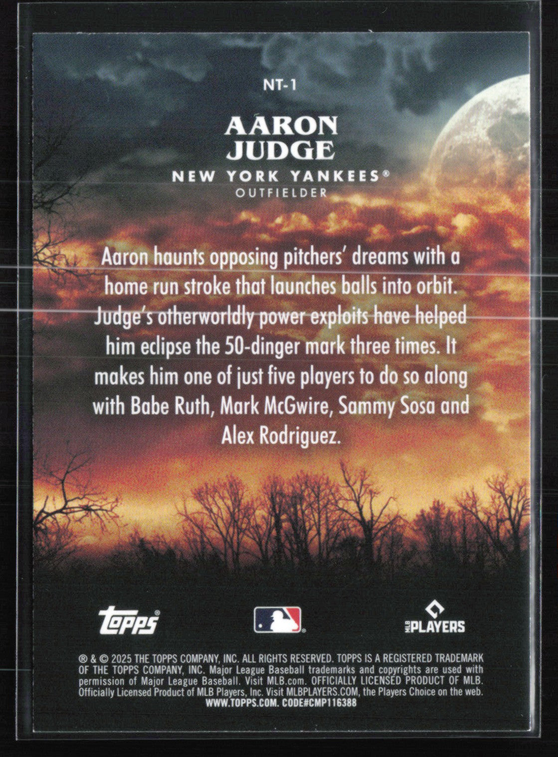 Aaron Judge Night Terrors