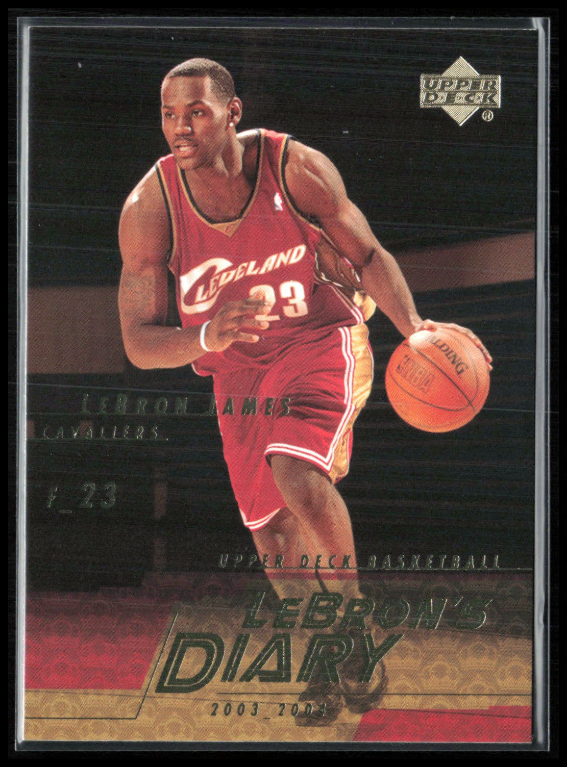 LeBron James 2003-04 LeBron's Diary
