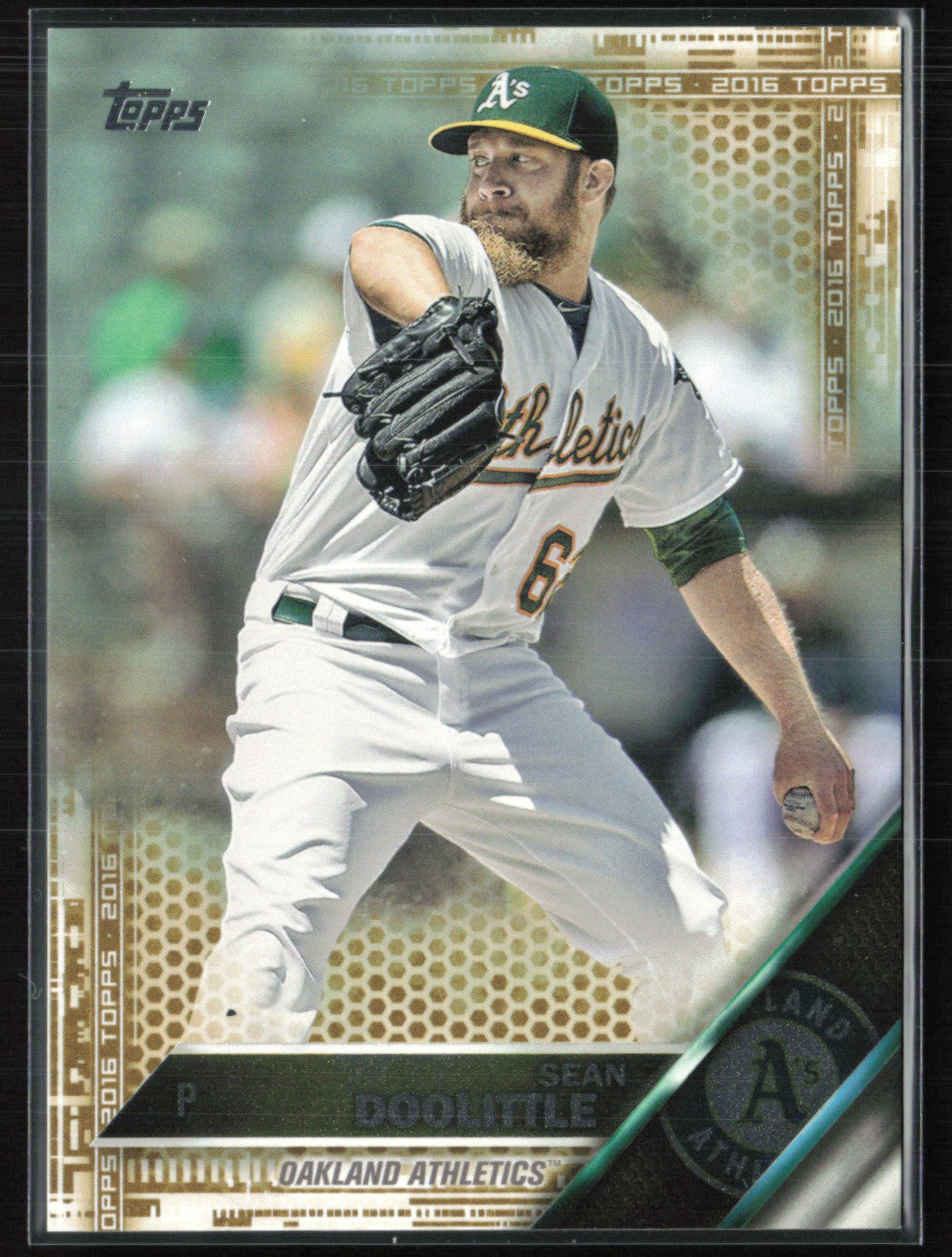 Sean Doolittle /2016