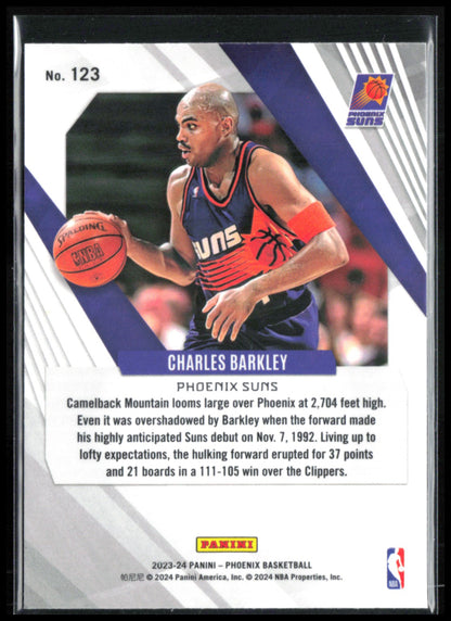 Charles Barkley Teal Velocity