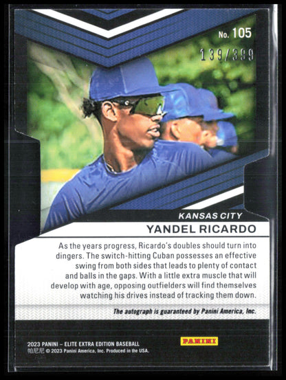 Yandel Ricardo Auto /399