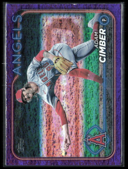 Adam Cimber Purple /799