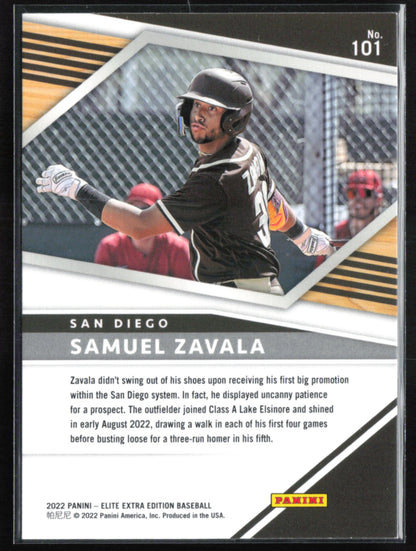 Samuel Zavala Pink