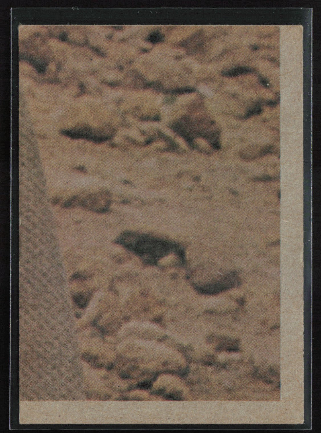 The imprisoned Princess Leia 1977 Topps Star Wars