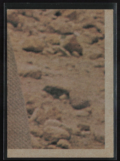 The imprisoned Princess Leia 1977 Topps Star Wars