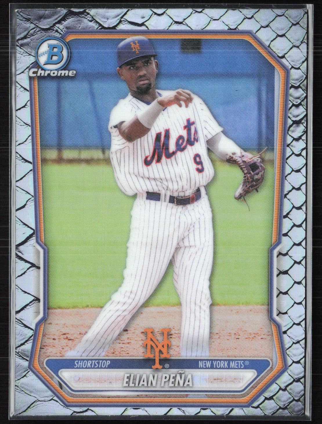 Elian Pena Reptilian Refractor